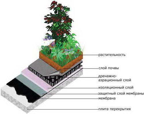 Устройство эксплуатируемой крыши с зелеными насаждениями
